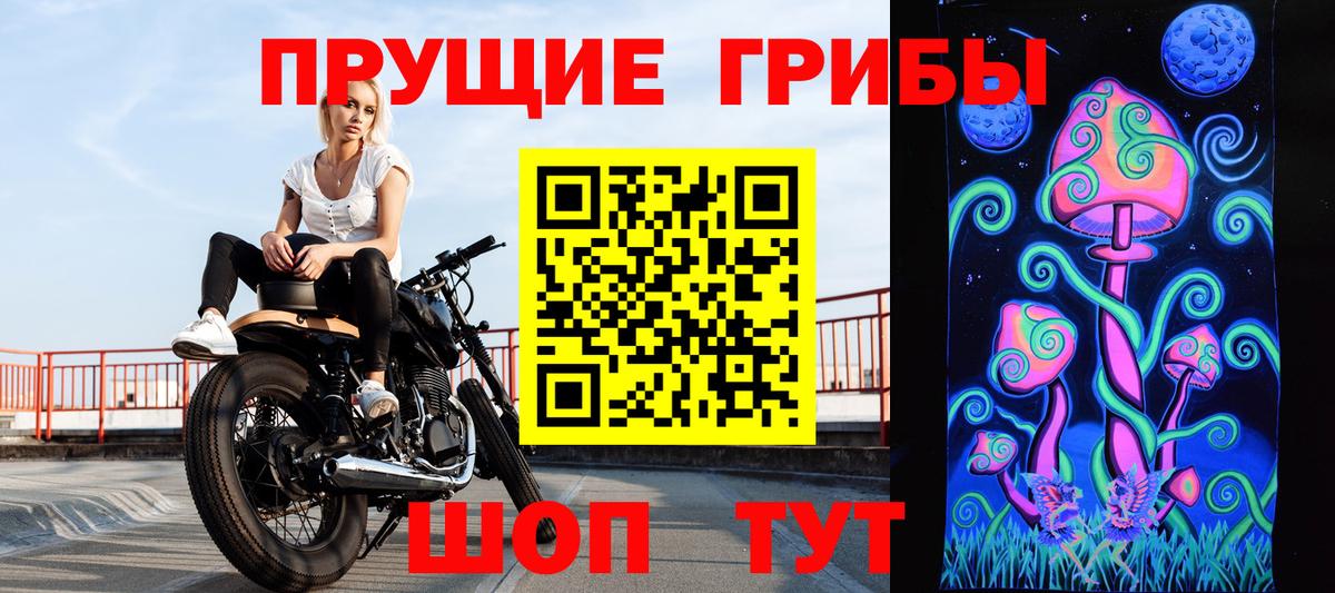 Псилоцибиновые грибы Psilocybe Пугачёв