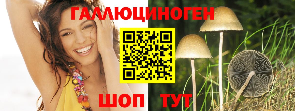 Псилоцибиновые грибы прущие грибы  Вход с VPN  Пугачёв  закладки  Галлюциногенные грибы GOLDEN TEACHER 